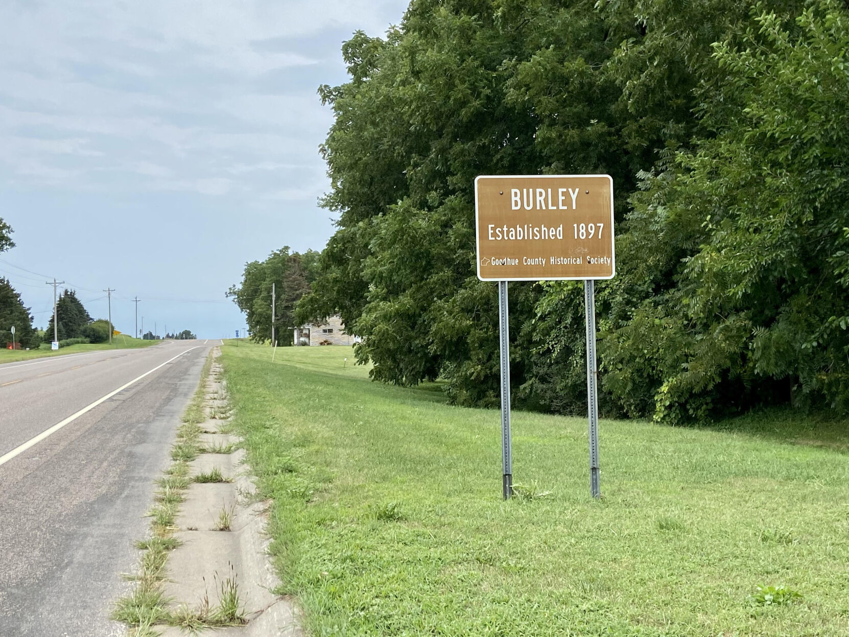 Burley